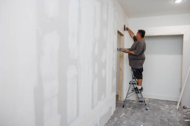 Best Basement Mold Removal  in Mexico, MO